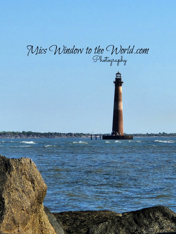 SC Foley Light copy.jpg