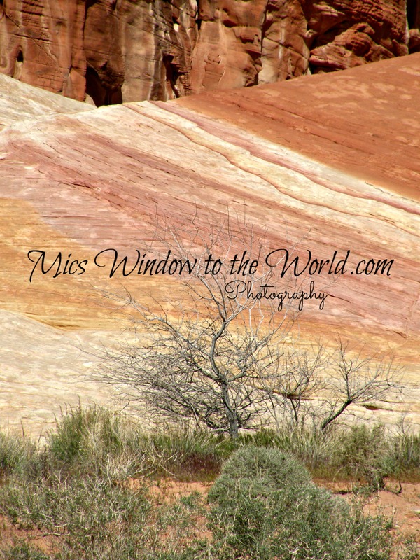 Sandstone Colors 2(1).jpg