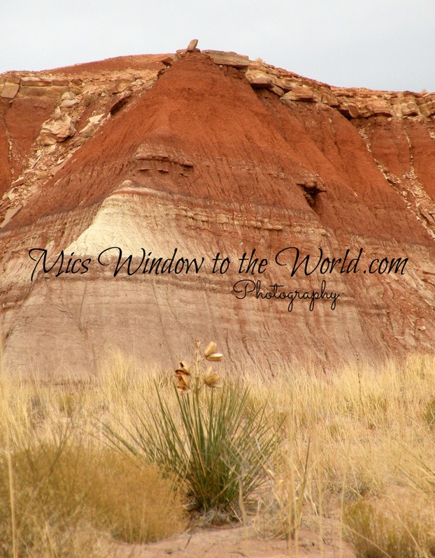 Sandstone Hills Kanab(1).jpg