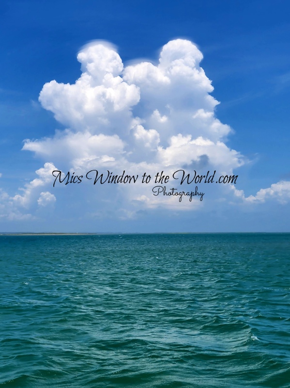 Shackleford Banks 2.jpg