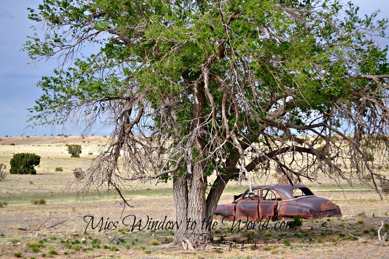 Somewhere in TX 1(1).jpg