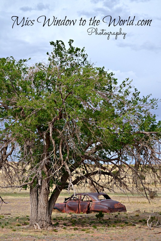 Somewhere in TX 2(1).jpg