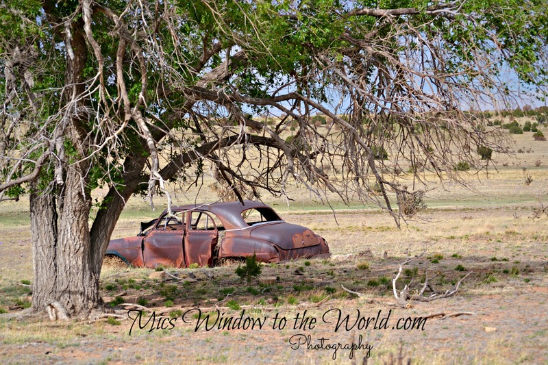 Somewhere in TX 3(1).jpg