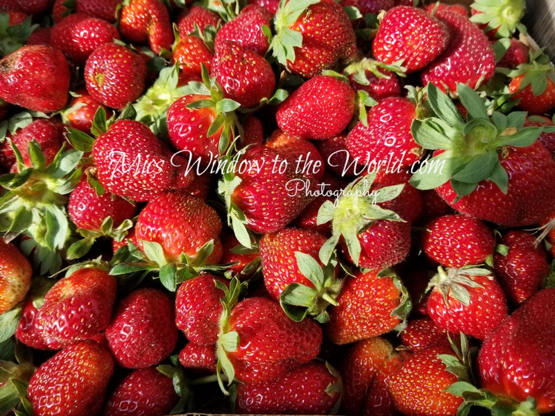 Strawberries.jpg