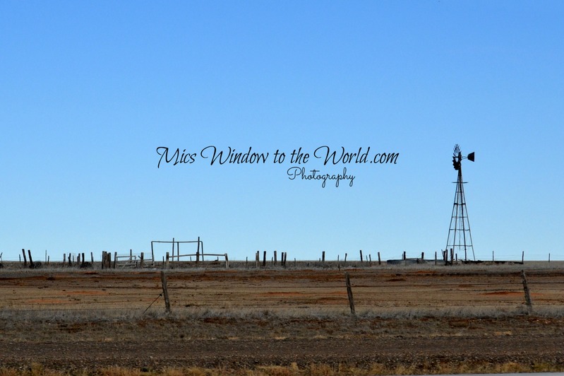 TX Windmill(1).jpg