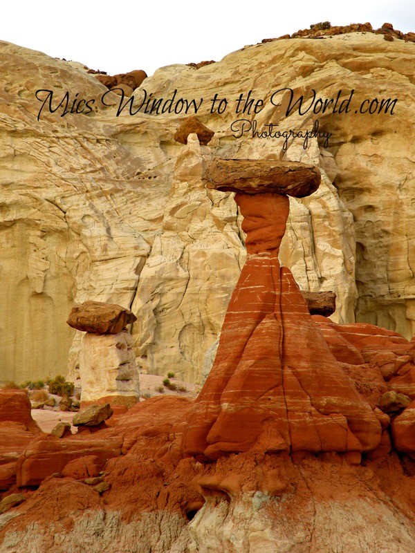 The Toadstools 2(1).jpg