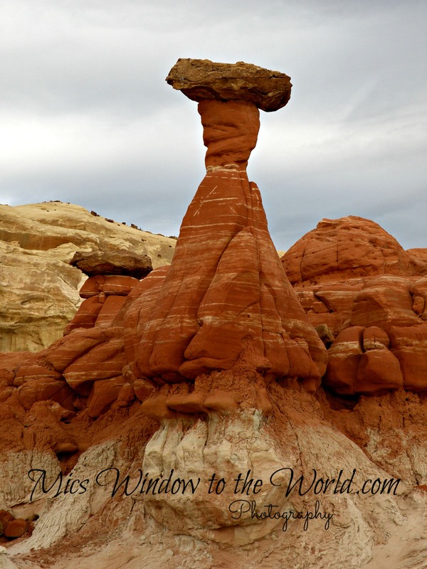 The Toadstools 3(1).jpg