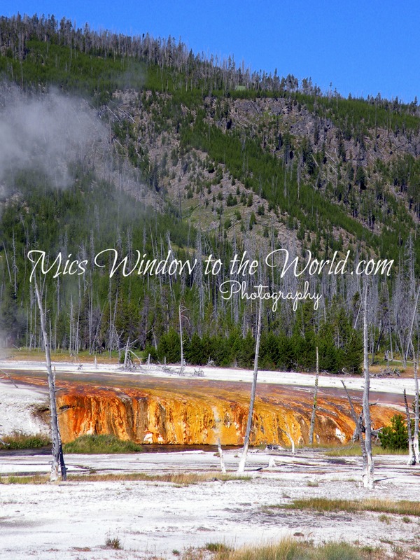 Thermal in Yellowstone(1).jpg