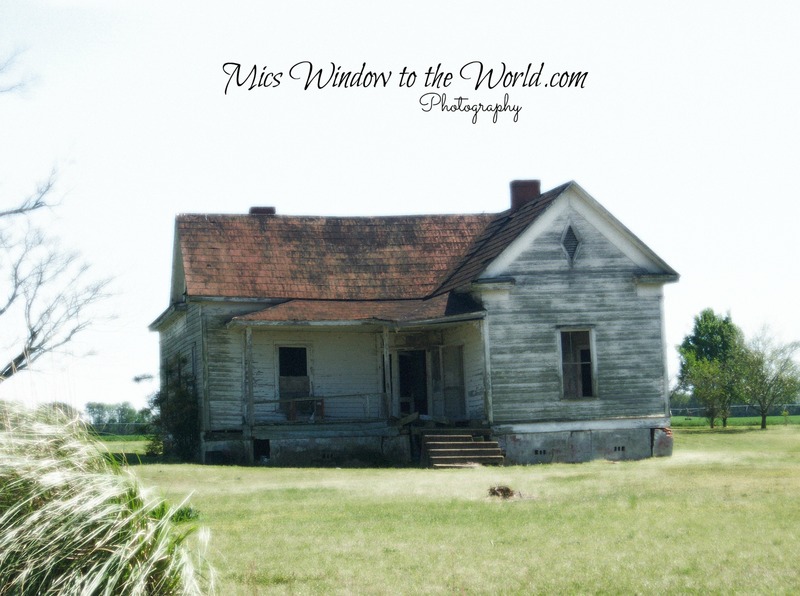 This Old House 1diff(2).jpg