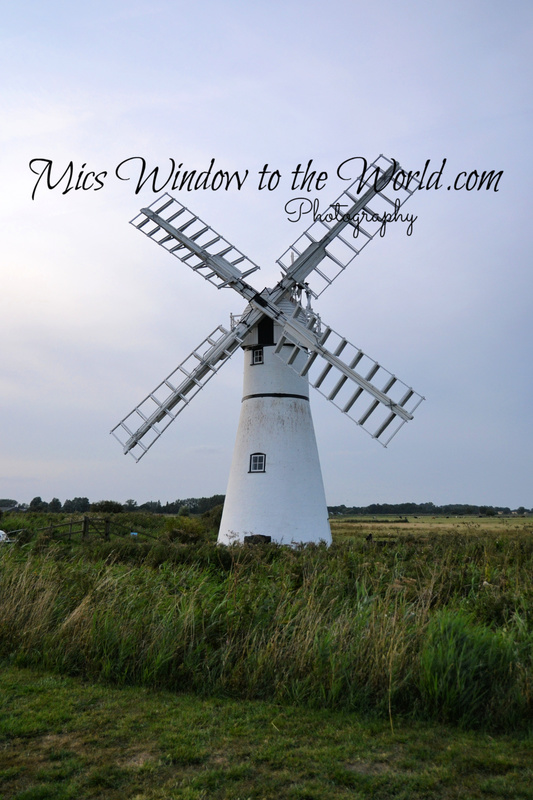 Thurne 10 Windmill 1820(1).jpg