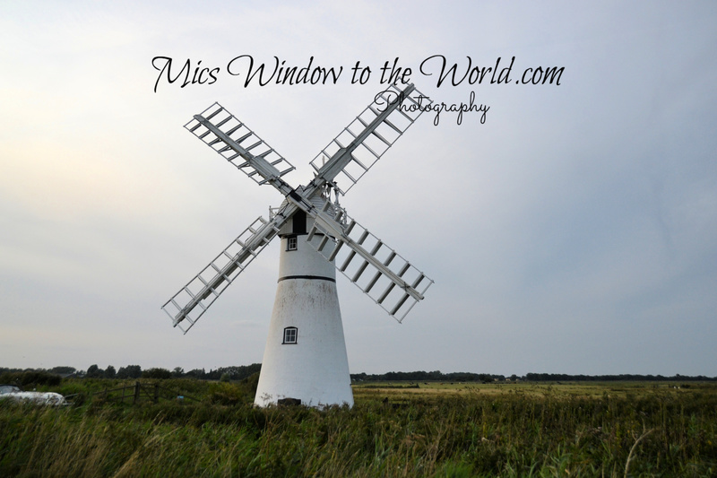 Thurne 12 Windmill 1820.jpg