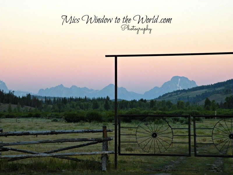 Turpin Meadow 1 Sunrise(1).jpg