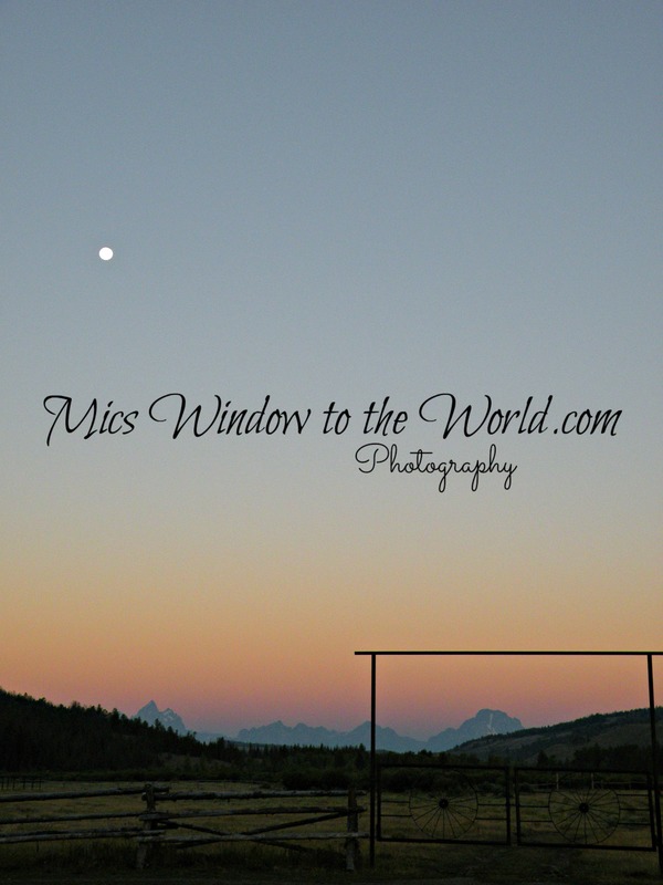 Turpin Meadow 2 Sunrise(2).jpg