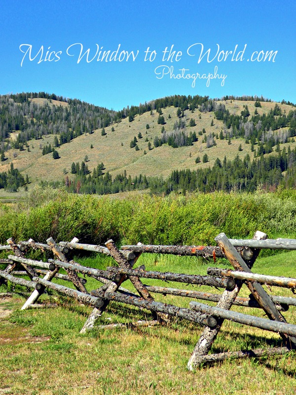 Turpin Meadow(1).jpg