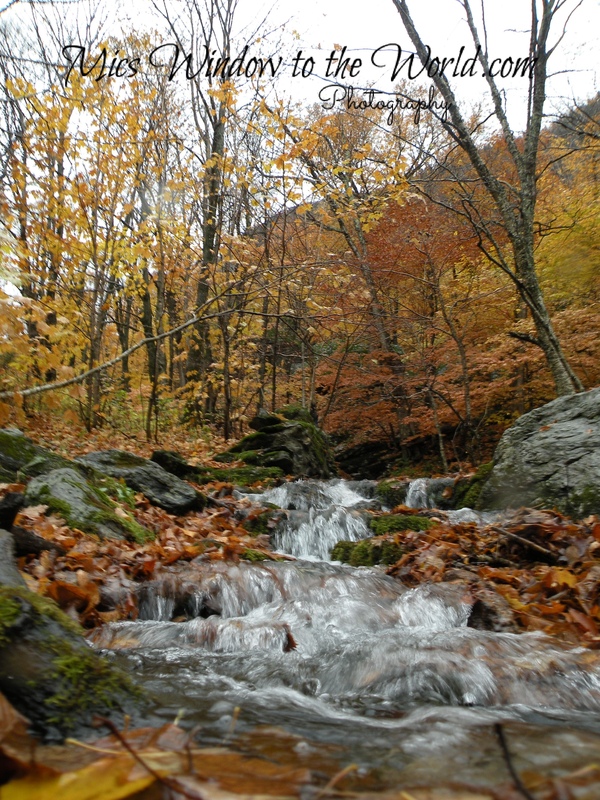 Vermont Fall.jpg