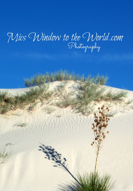 White Sands NM 2.jpg