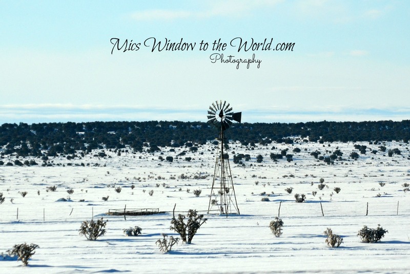 Windmill NM 2(1).jpg