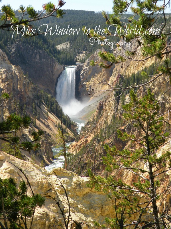 Yellowstone Falls 2(1).jpg