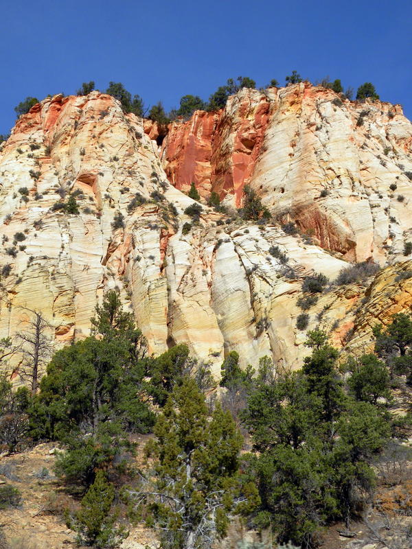 Zion Natl Park 1(1).jpg