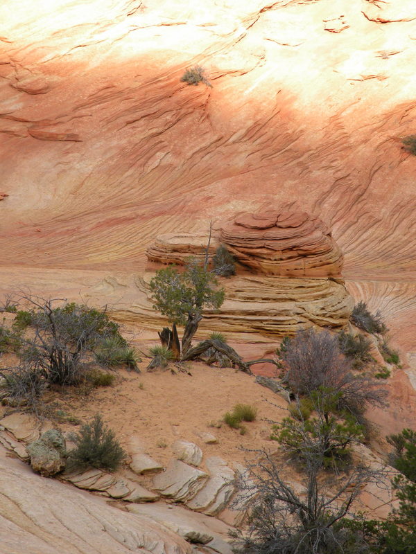 Zion Natl Park 2.jpg