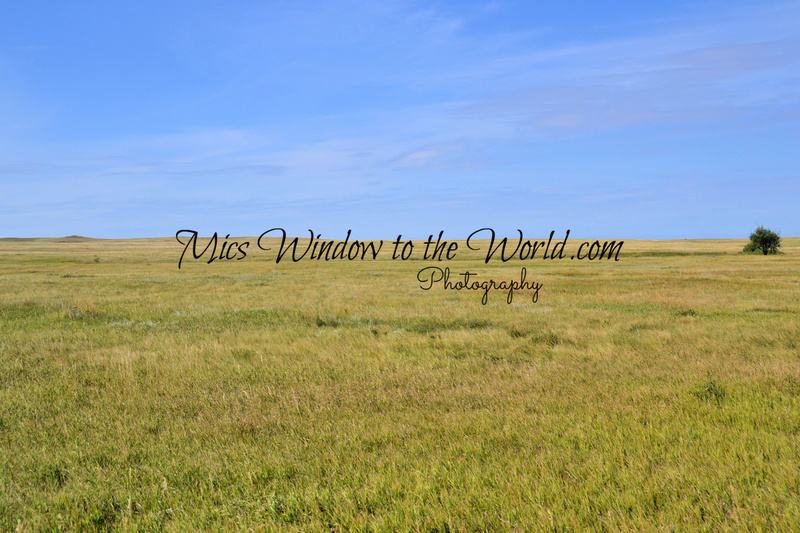 Buffalo Gap Grasslands 1.jpg