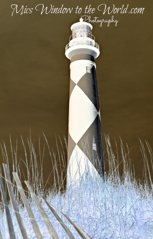 Cape Lookout 12neg.jpg