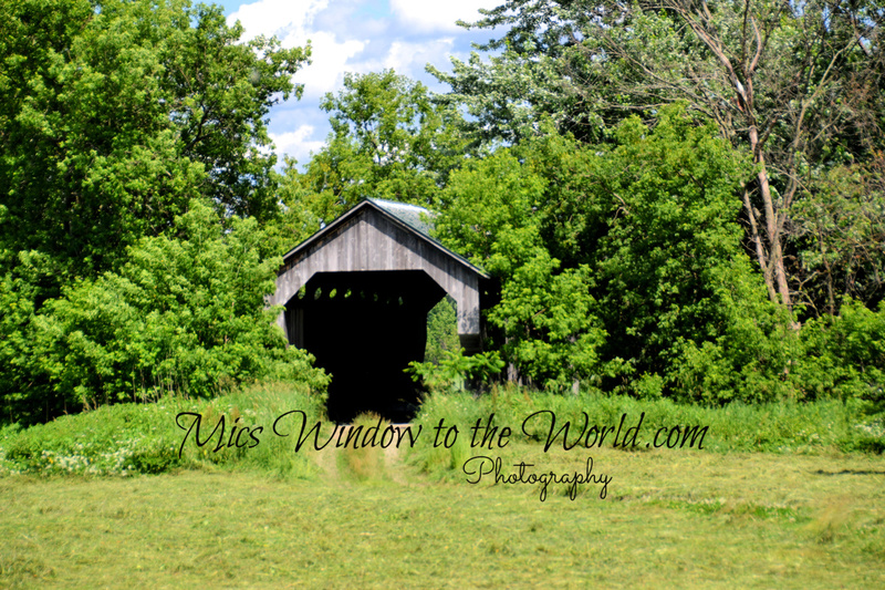 Covered Bridge10.jpg