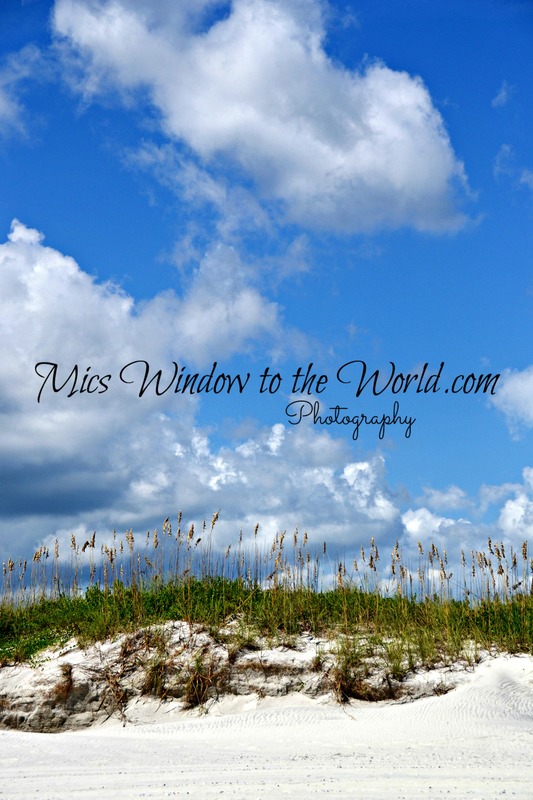 Masonboro Island 1.jpg