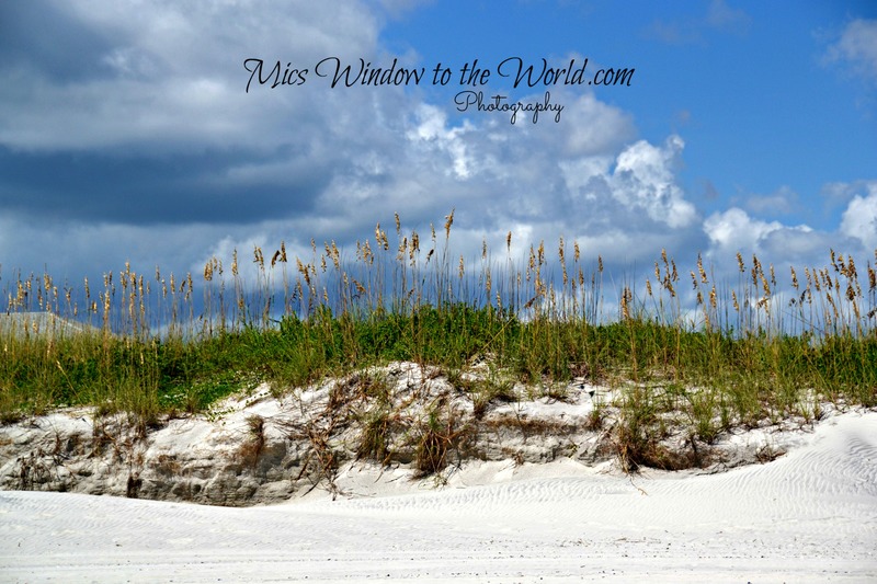 Masonboro Island 2.jpg