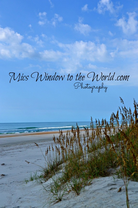 Masonboro Island 4.jpg