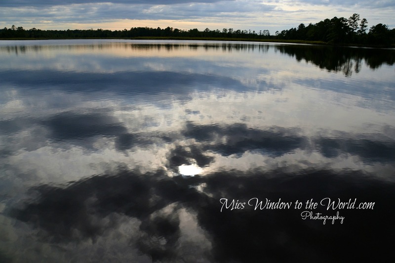 River Reflection.jpg