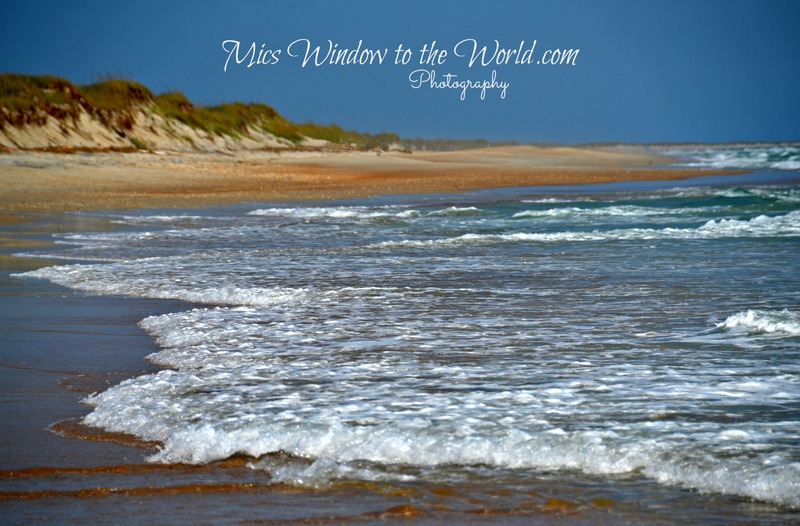 Shackleford Banks 1.jpg