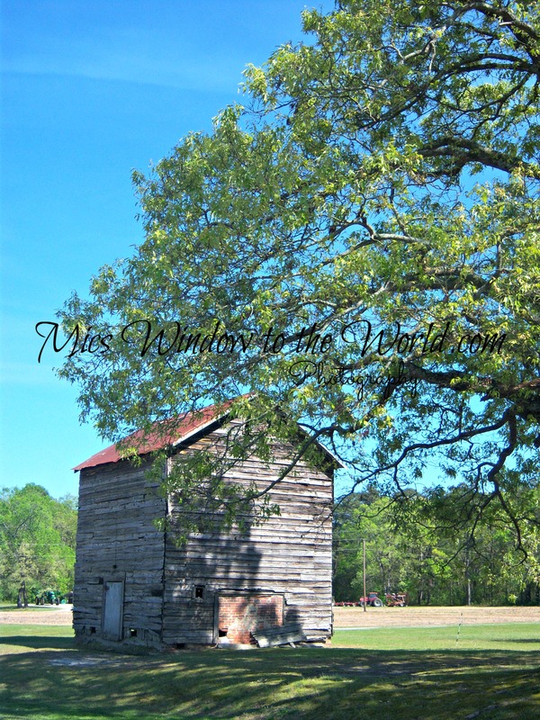 Tobacco Barn 4.jpg