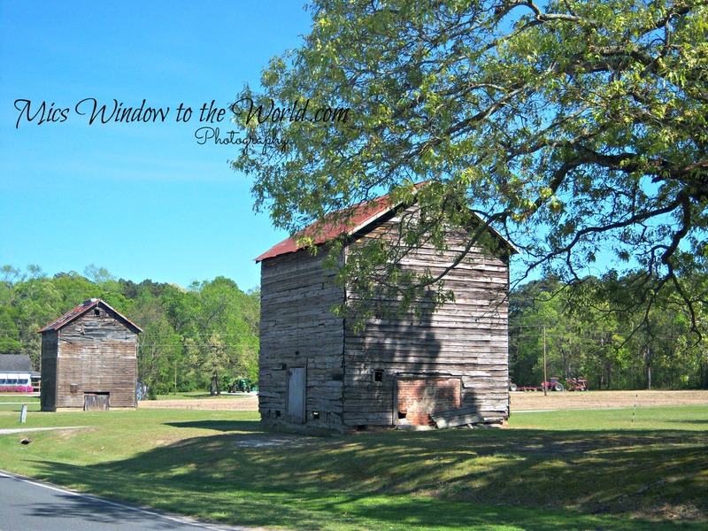 Tobacco Barns 5.jpg