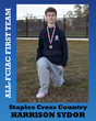 All-FCIAC BXC Staples Sydor.jpg