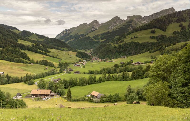 GQ7A0339 copy (1).jpg :: While not particularly high and rugged, Juan Pass is a beautiful mountain pass complete with some happy cows.