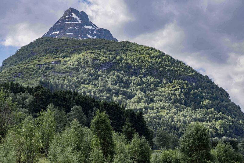 GQ7A0501 copy(1).jpg