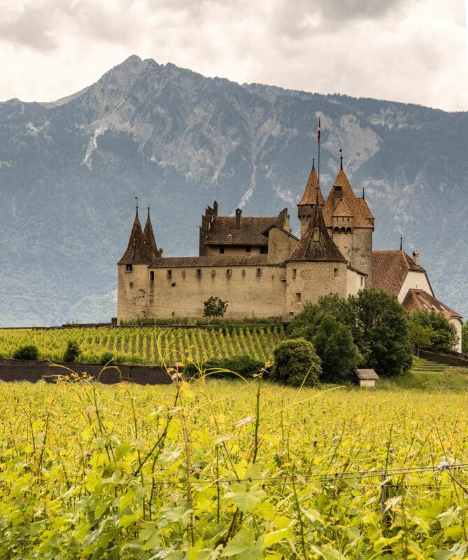 GQ7A0559 copy (1).jpg :: Aigle Castle and vinyards near Montreux