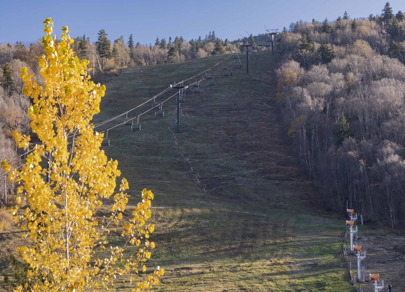 GQ7A1351 copy(3).jpg