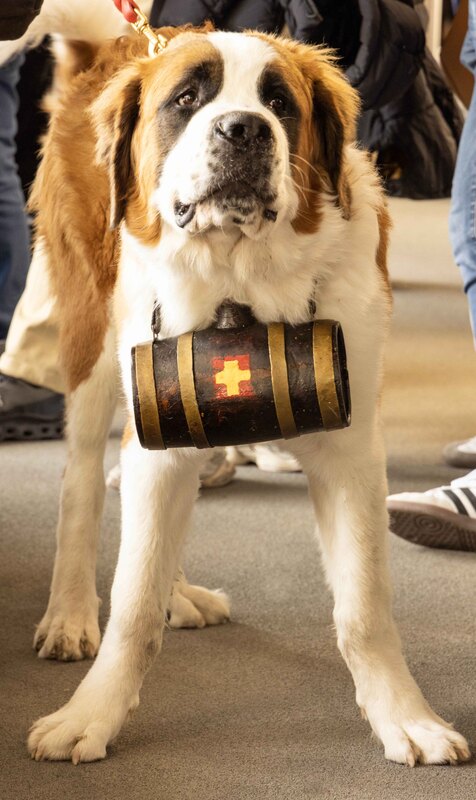 GQ7A1507 copy(1).jpg :: We met this 8 month old guy waiting for the train to Gornergrat.