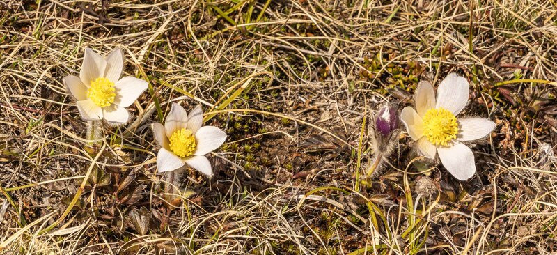 GQ7A1603 copy (1).jpg