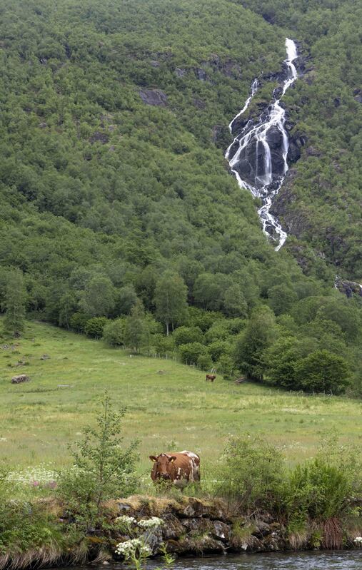 GQ7A2682 copy(1).jpg