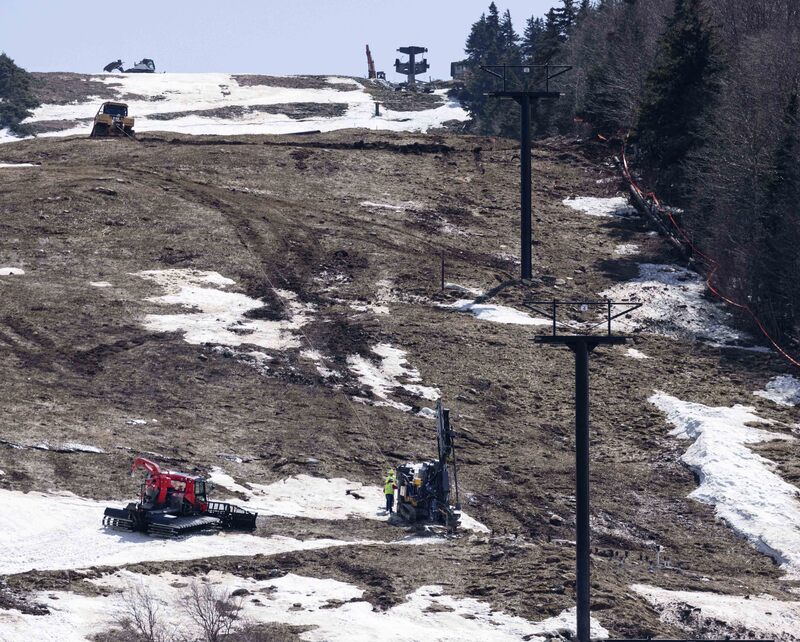 GQ7A6542 copy.jpg :: By 4/24 the top terminal is looking different