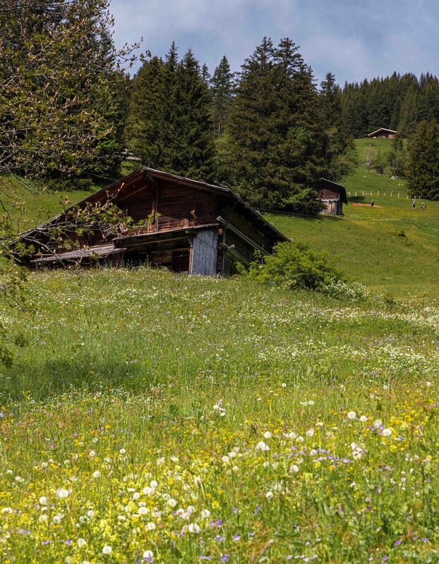 GQ7A8202 copy 2 (1).jpg :: A hang glider preparing to launch from high up the slope.