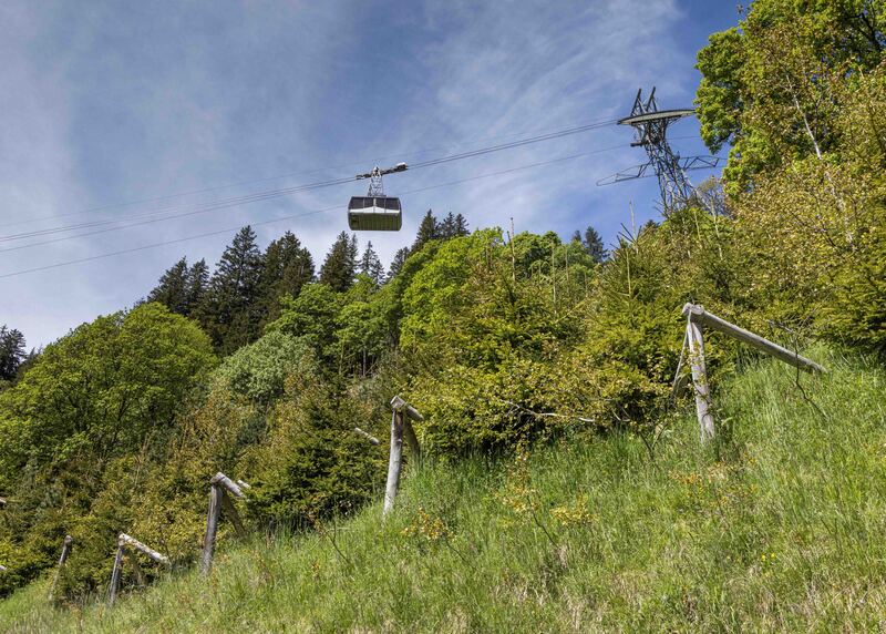 GQ7A8262 copy (1).jpg :: Note the structures to stabilize vegetation and the snow pack on steep slopes on the way down to Gimmelwald.