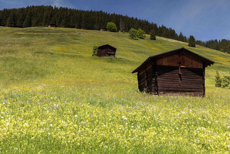 GQ7A8325 copy (1).jpg