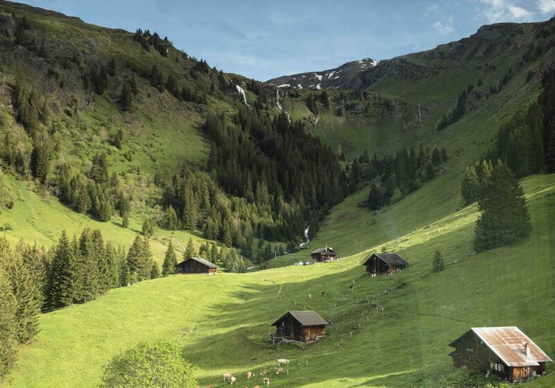 GQ7A8585 copy 2 (1).jpg :: A view riding up the gondola from Grindelwald to First.