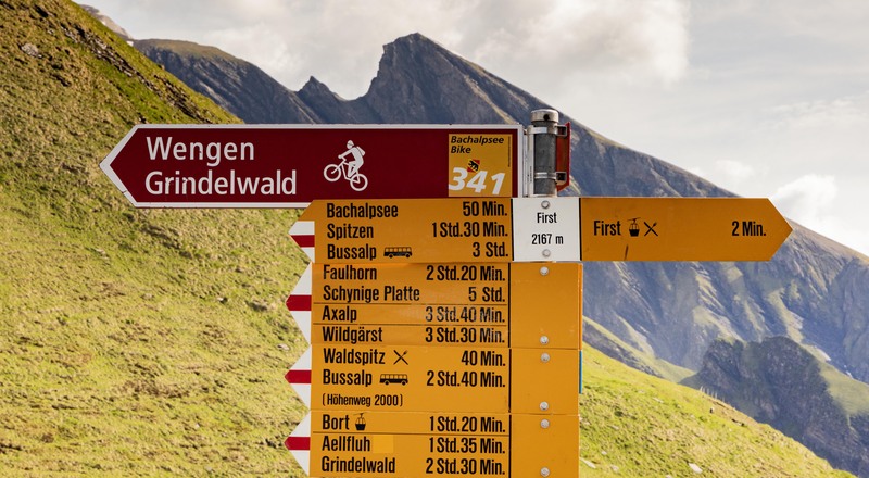 GQ7A8689 copy.jpg :: The signage on trails is outstanding.