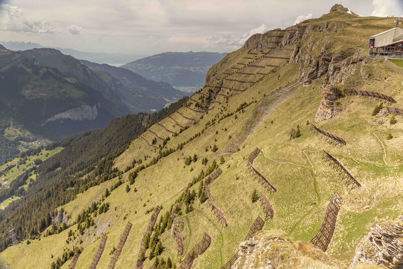 GQ7A8910 copy.jpg :: Avalanche terrain above Wengen on the slopes below Mannelichen. Avalanche mitigation is very serious business.