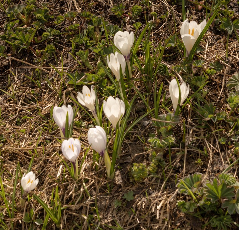 GQ7A8983 copy (1).jpg